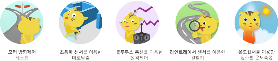 옐로우캣 특징